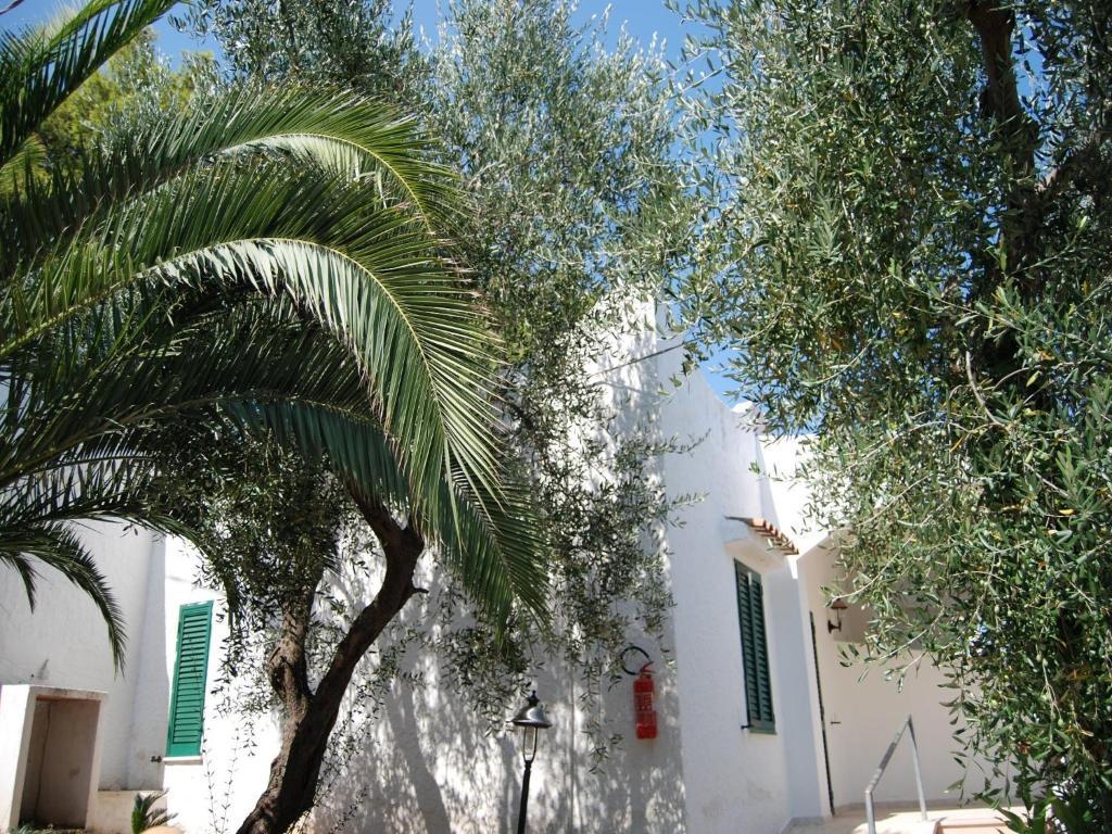 ויאסטה Althea Village Residence חדר תמונה
